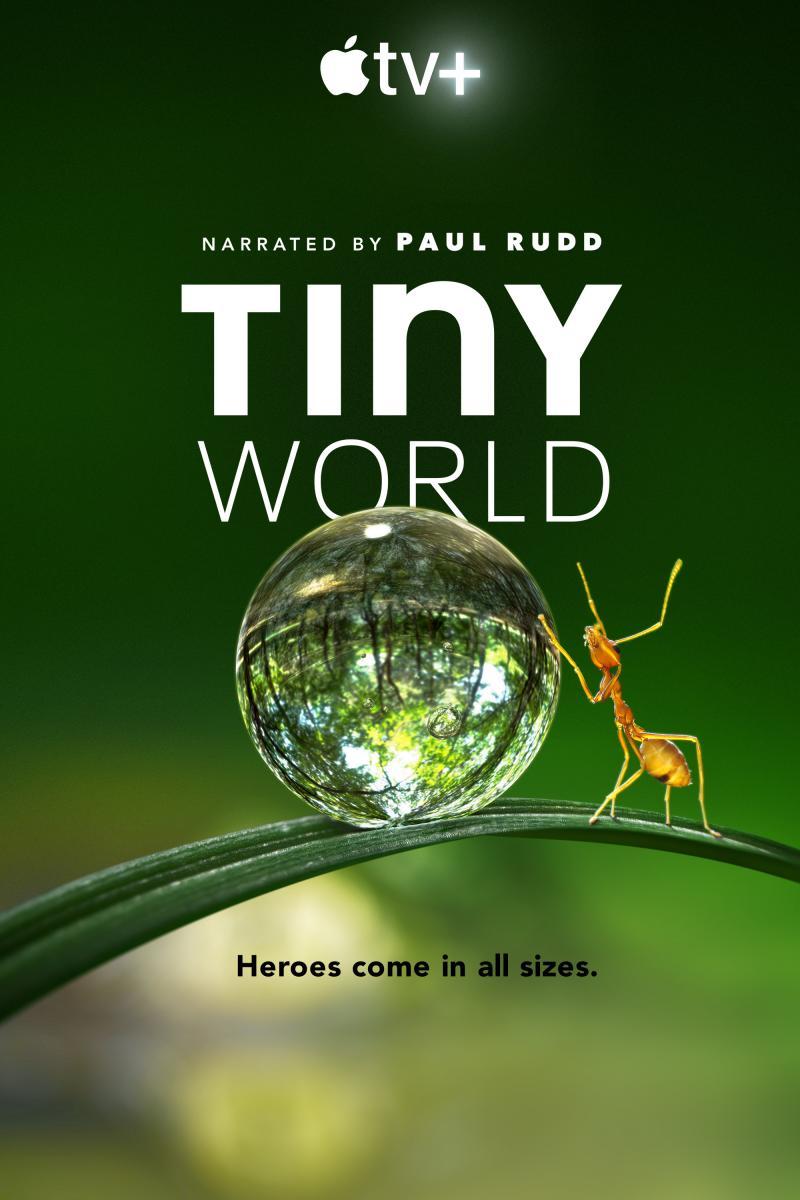 Tiny World Temporada 1 y 2 Completa 1080p Dual Latino/Ingles
